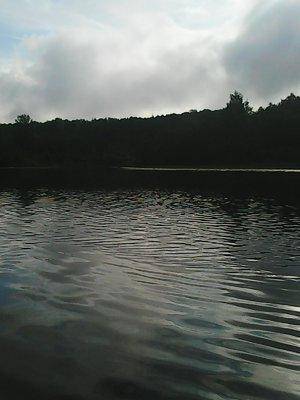 Заозерское бесклевье 017.jpg