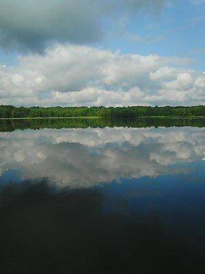 Заозерское бесклевье 028.jpg