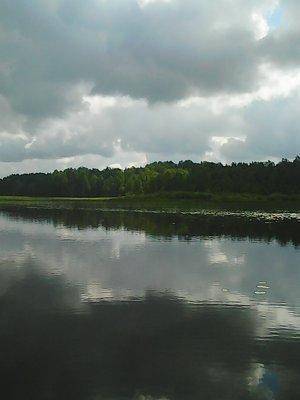 Заозерское бесклевье 039.jpg