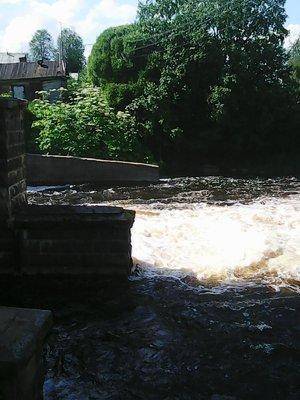 Заозерское бесклевье 042.jpg