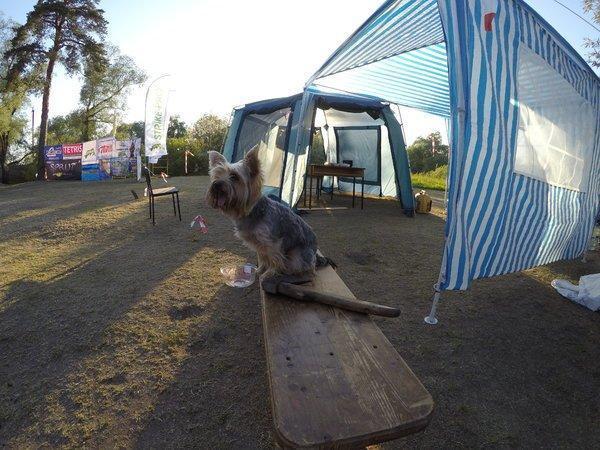 GOPR0534.thumb.JPG.dd183cae3d47050cde506