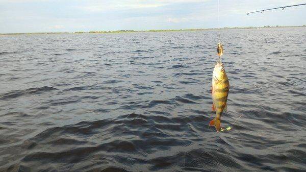 P_20160602_170708_HDR.thumb.jpg.77d62c31