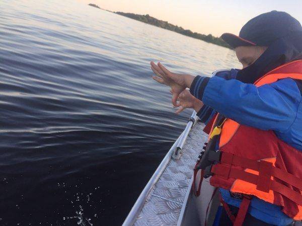 image.thumb.jpg.33cc759a4c7402b9cedeb1bd