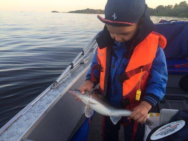 image.thumb.jpg.3f69582f3e203ebb46773ec1