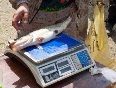 Порыбалки (89 of 1).jpg