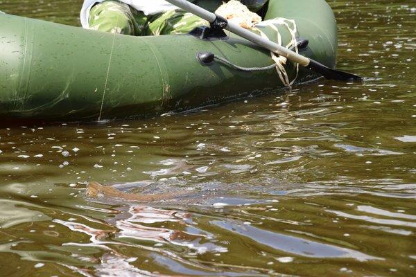 Мста, сплав 2-3 июля 2016 031.JPG