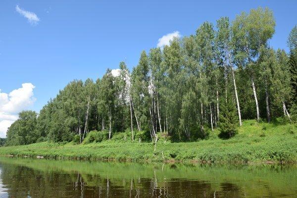 Мста, сплав 2-3 июля 2016 038.JPG