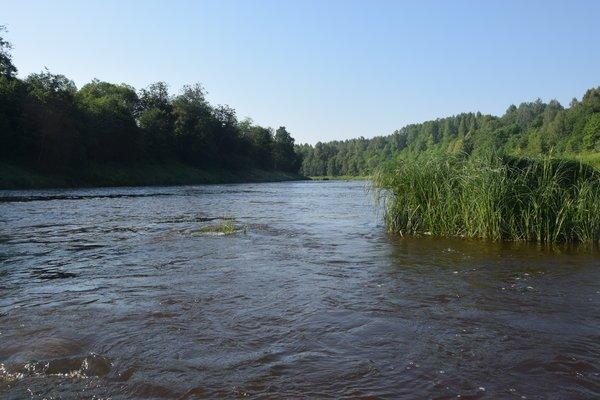 Мста, сплав 2-3 июля 2016 084.JPG