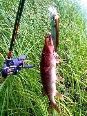 Фото3674 - с эффектами.jpg