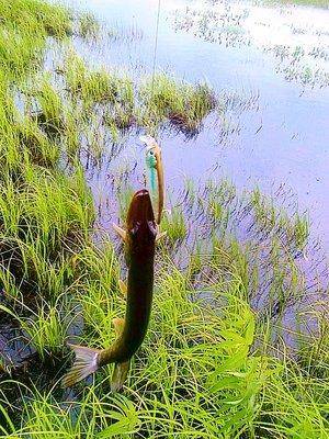 Фото3671 - с эффектами (3).jpg