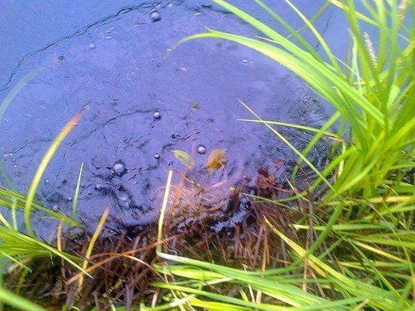 Фото3675 - с эффектами.jpg