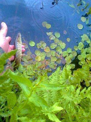 Фото3677 - с эффектами.jpg