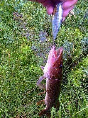 Фото3679 - с эффектами.jpg