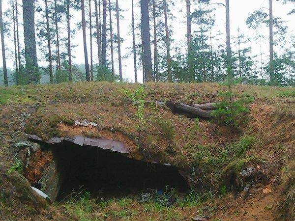 Грибы 18 июля 2016 026.jpg