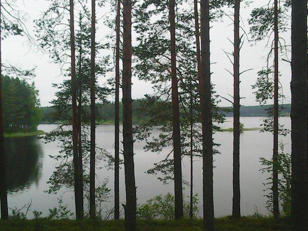 Грибы 18 июля 2016 017.jpg