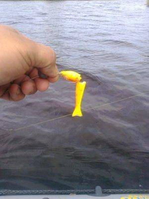 579b7bf833551_3815.thumb.jpg.64aeebe7911