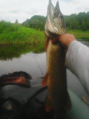 Мста, 31 июля-1августа 029.jpg