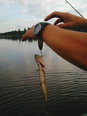 Рыбалка 5 августа 2016 009.jpg