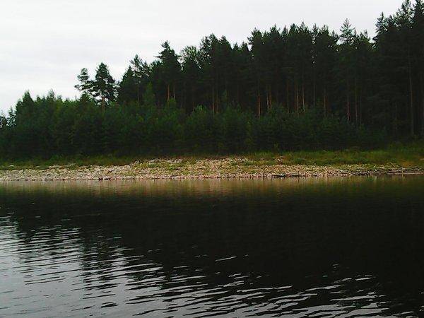 Джиг Фест Хвойная 2016 067.jpg