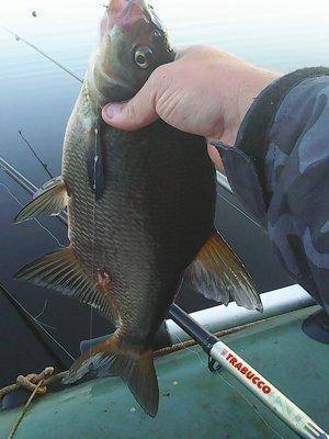 Ловля леща 20-21 августа 2016 049.jpg