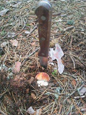 Отдых на лещах 22-23 августа 2016 009.jpg