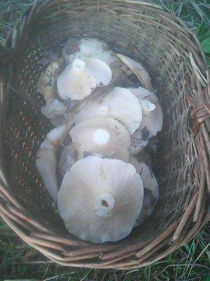 Рыбалка 3-4 сентября 2016 129.jpg