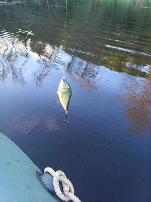 Вечерка 17 сентября 2016 017.jpg