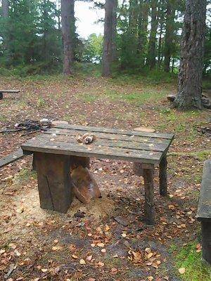 Рыбалка 18 сентября 2016 012.jpg