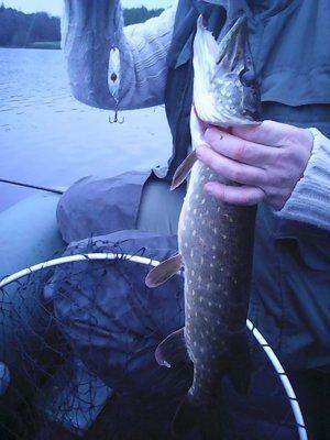 Рыбалка 18 сентября 2016 038.jpg