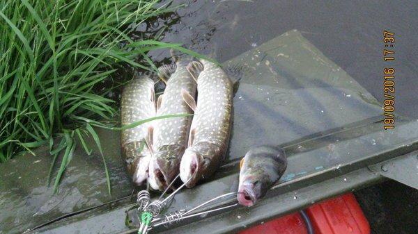 2016-09-19 17-37-16.JPG