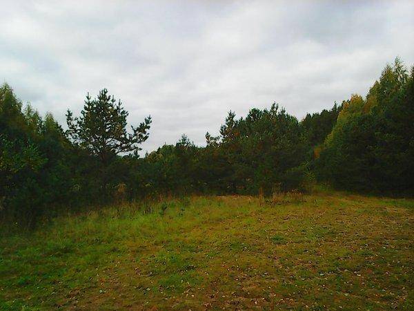 Джерковые покидушки 24-25 сентября 2016 028.jpg