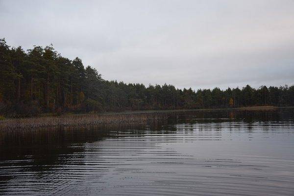 Джерковые покидушки 24-25 сентября 2016 062-14.jpg