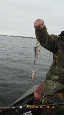 2016-09-26 09-47-18.JPG