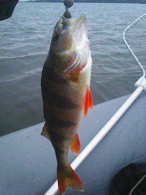 Пролет над Вельем 003.jpg