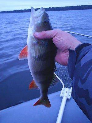 Пролет над Вельем 007.jpg