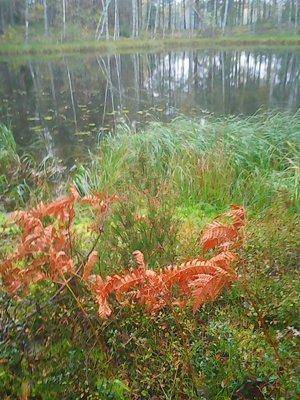 Пролет над Вельем 036.jpg