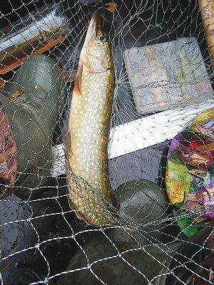 Пролет над Вельем 041.jpg