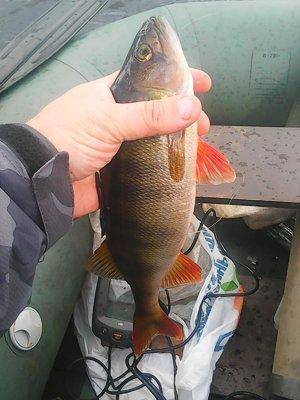 Рыбалка 1 октября 2016 011.jpg