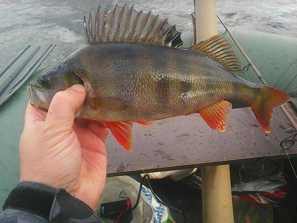 Рыбалка 1 октября 2016 018.jpg