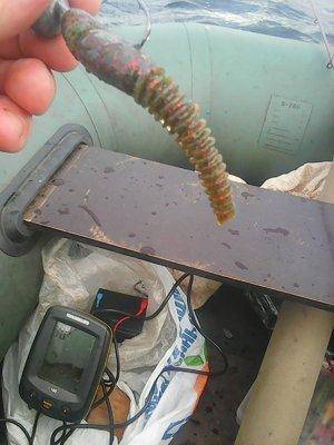 Рыбалка 1 октября 2016 019.jpg