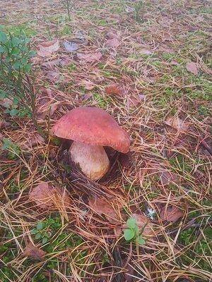 Рыбалка 1 октября 2016 002.jpg