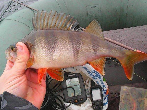 Рыбалка  8октября 2016 001.jpg