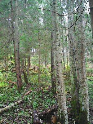 Рыбылка 9октября 2016 003.jpg