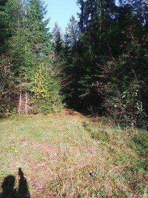 Рыбылка 9октября 2016 022.jpg