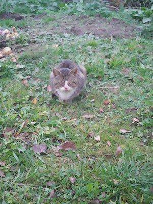 Рыбалка 12 октября 2016 042.jpg