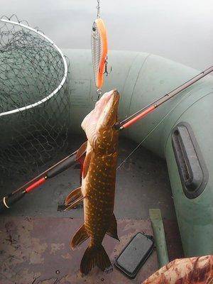 Рыбалка на джерки 13 октября 2016 006.jpg