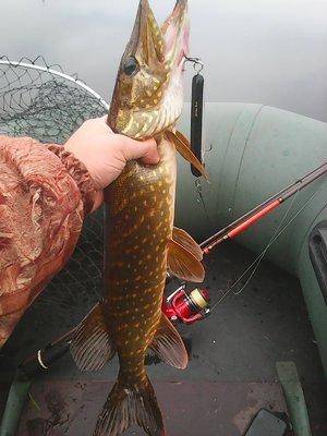 Рыбалка на джерки 13 октября 2016 009.jpg