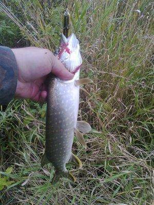 57ffa73a93290_4402.thumb.jpg.962465e9f6d