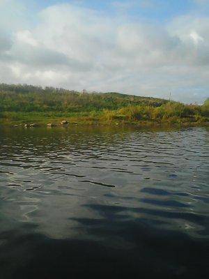 Ловать 15-16 октября 2016 004.jpg