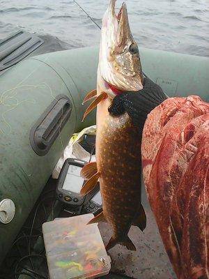 Рыбалка 17 октября 2016 003.jpg